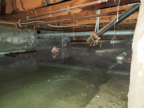 Reliable Calhoun Falls, SC Water damage restoration Solutions