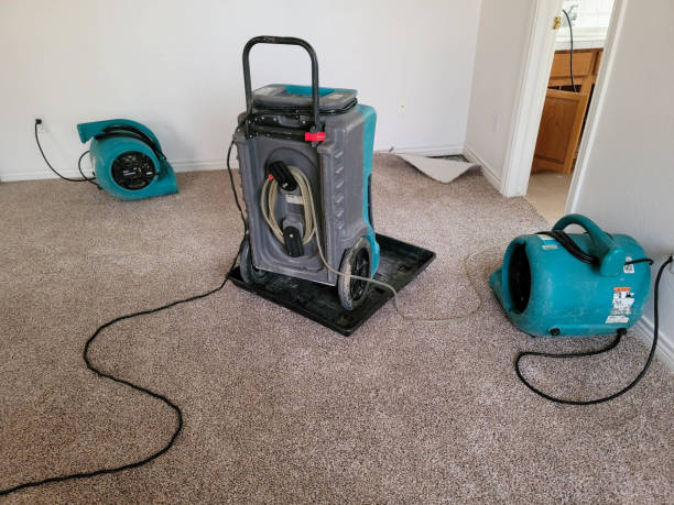 Best Sewage cleanup and water damage restoration  in Calhoun Falls, SC