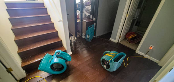 Best Flooded house restoration  in Calhoun Falls, SC