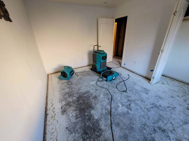 Best Basement water damage restoration  in Calhoun Falls, SC