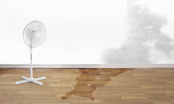 Local water damage restoration in Calhoun Falls, SC