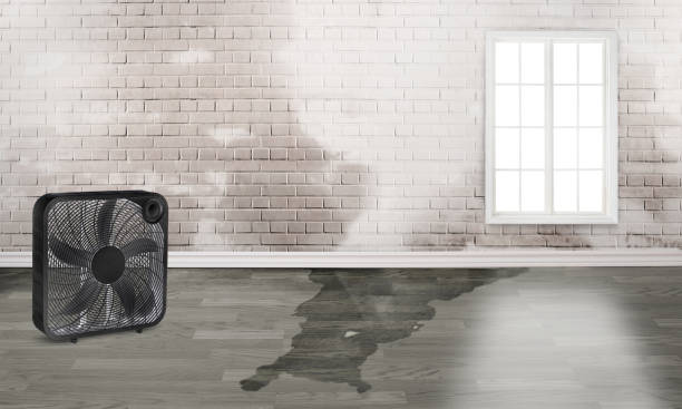 Best Residential water damage restoration  in Calhoun Falls, SC
