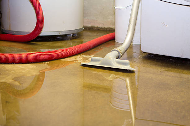 Best Water damage contractors near me  in Calhoun Falls, SC