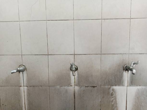 Best Water damage restoration specialists  in Calhoun Falls, SC