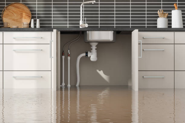 Water damage restoration insurance claims in Calhoun Falls, SC