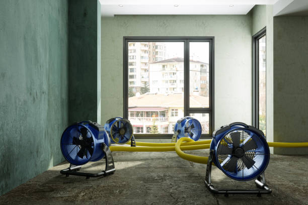 Best Water damage restoration services  in Calhoun Falls, SC